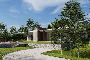 走进“园艺疗法”，让植物治愈你的心灵