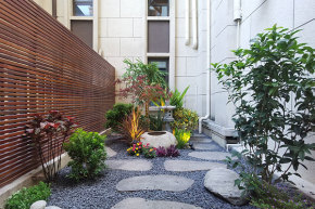 6个实用的园艺技巧，室内养盆栽植物需要多费心思