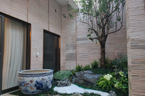 在室内摆放什么植物？