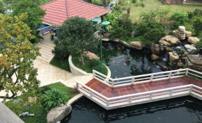 室内鱼池设计有什么造景技巧？